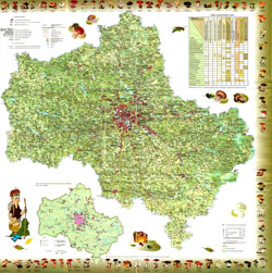 Подробная карта грибника (карта грибов) Московской области.
