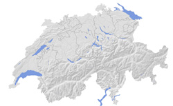 Контурная рельефная карта Швейцарии.